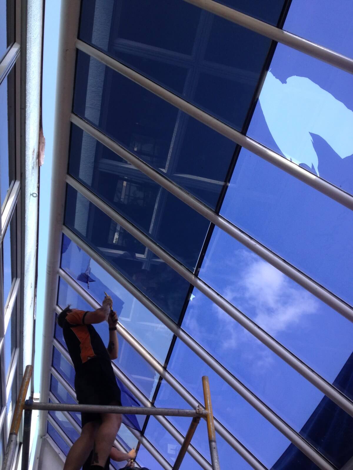 Commercial window tinting by Local Guys
